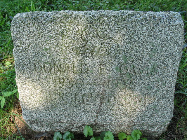 Donald E. David